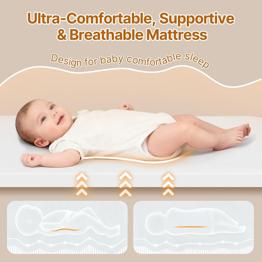 Baby Bassinet Bedside Sleeper, 2-in-1 Bedside Bassinet for Baby, Bedside Sleeper with Mattress, Full Mesh Sides, 5 Height Adjustable, Stable and Secure Crib with Lockable Wheels for Newborn